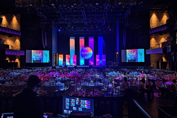 Elevating Gala Projects 1