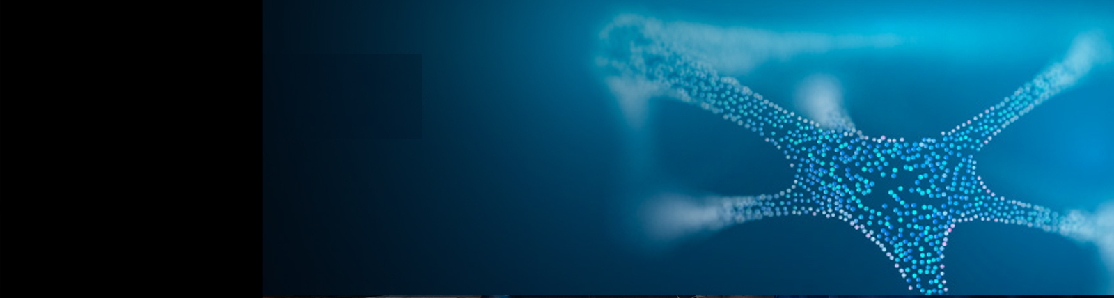Northpondventures Banner 1600x428